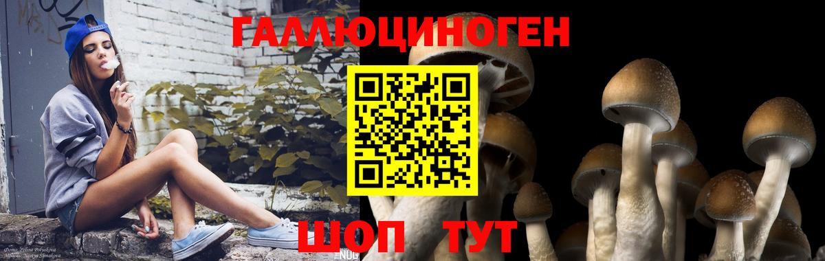 Саров  Псилоцибиновые грибы Magic Shrooms  Вход с VPN 